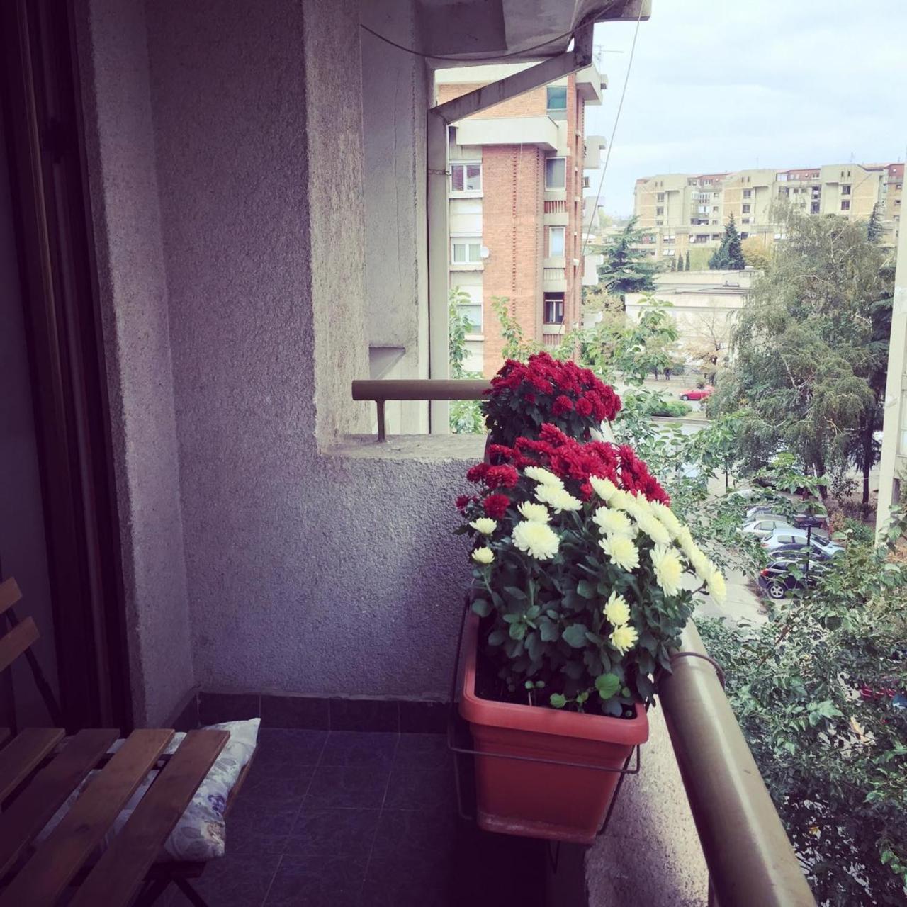 3 Bedroom Home With Parking Garage In The Heart Of סקופיה מראה חיצוני תמונה